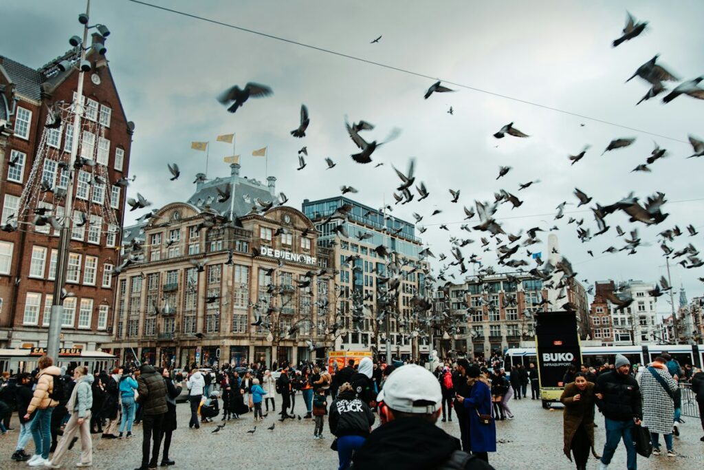 Crowded Historic European Square Tourists - Travel Meadow Guide