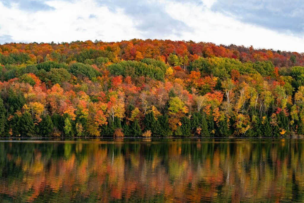 New England Fall Foliage Autumn Trees - Travel Meadow Guide
