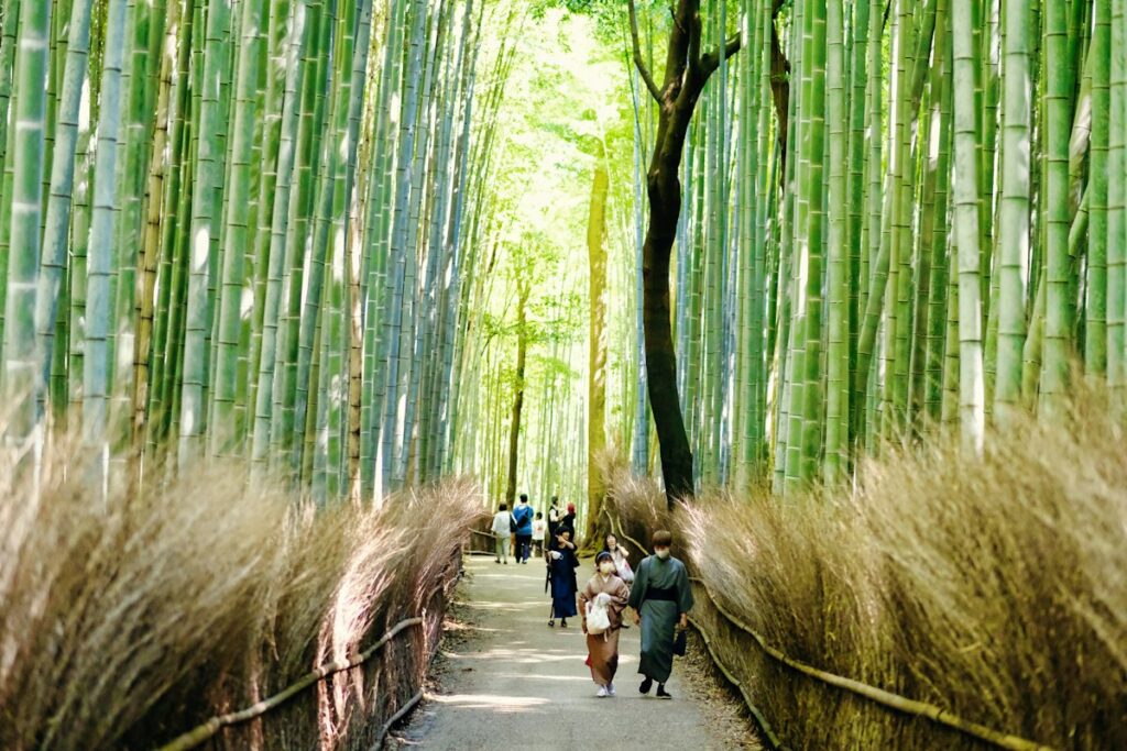 Arashiyama Bamboo Grove Kyoto - Travel Meadow Guide
